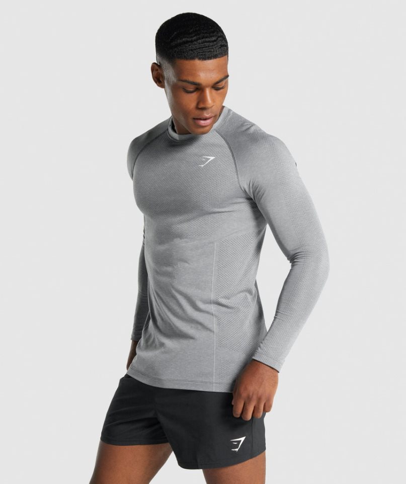 Koszulki Gymshark Vital Light Seamless Long Sleeve Męskie Szare | PL 218YIR